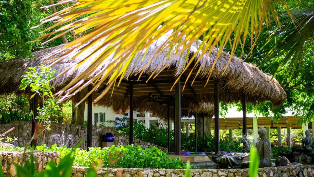 טאיטאי The Dream Beach Resort מראה חיצוני תמונה